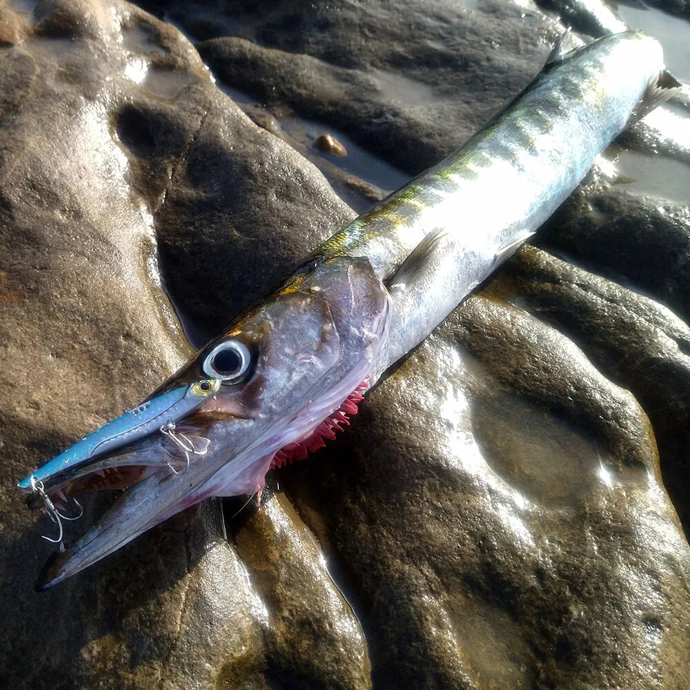 GOBAIT VIB 낚시 미끼 20g 25g 30g 금 - Fishing Lure Blade Bait 리뷰 및 가격