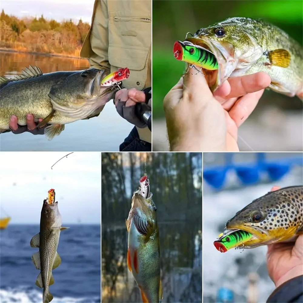 5개입 팝퍼 낚시 미끼 3D 눈 미끼 탑워터 크랭크베이 - Fishing Lure Popper 리뷰 및 가격